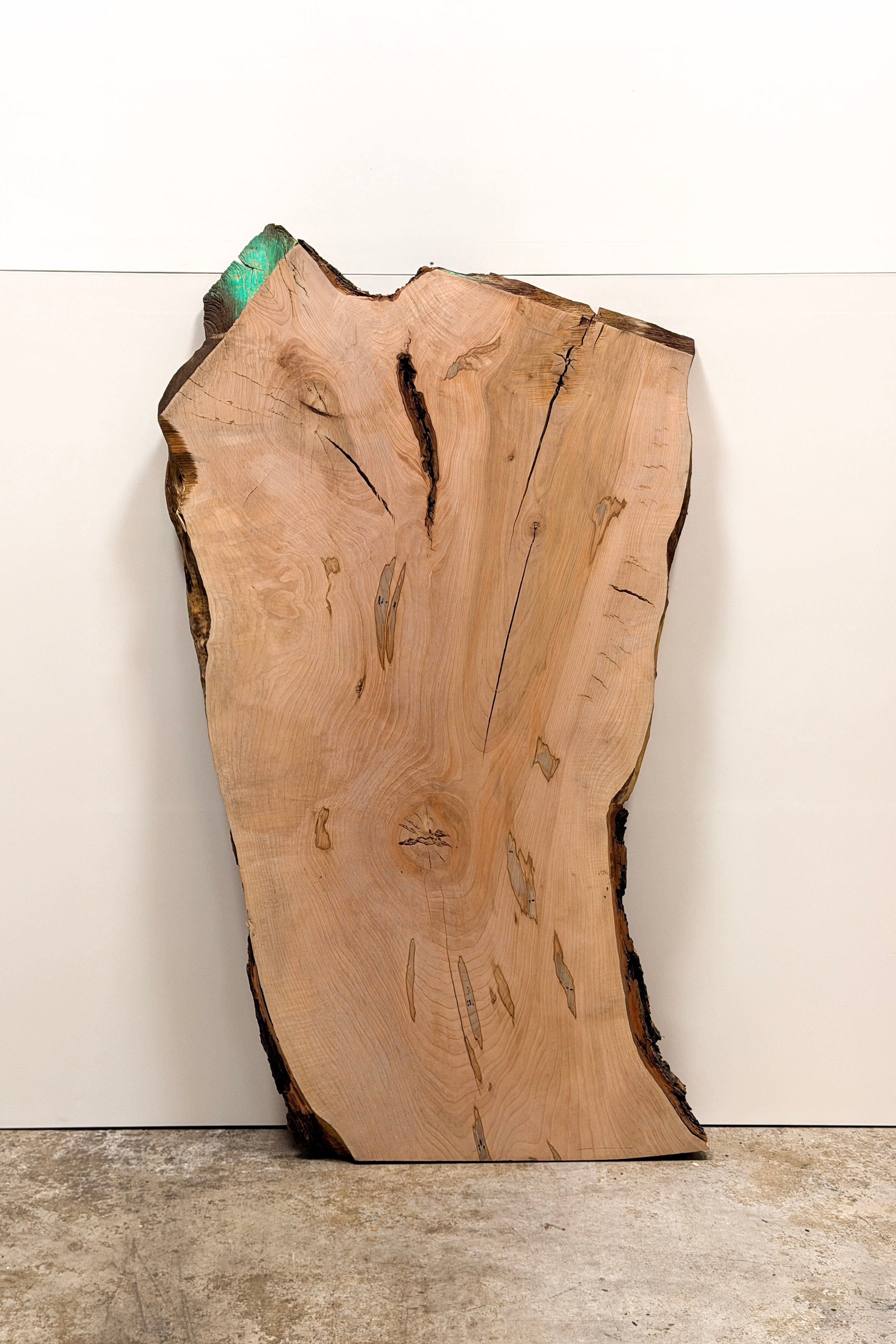 Maple Live Edge