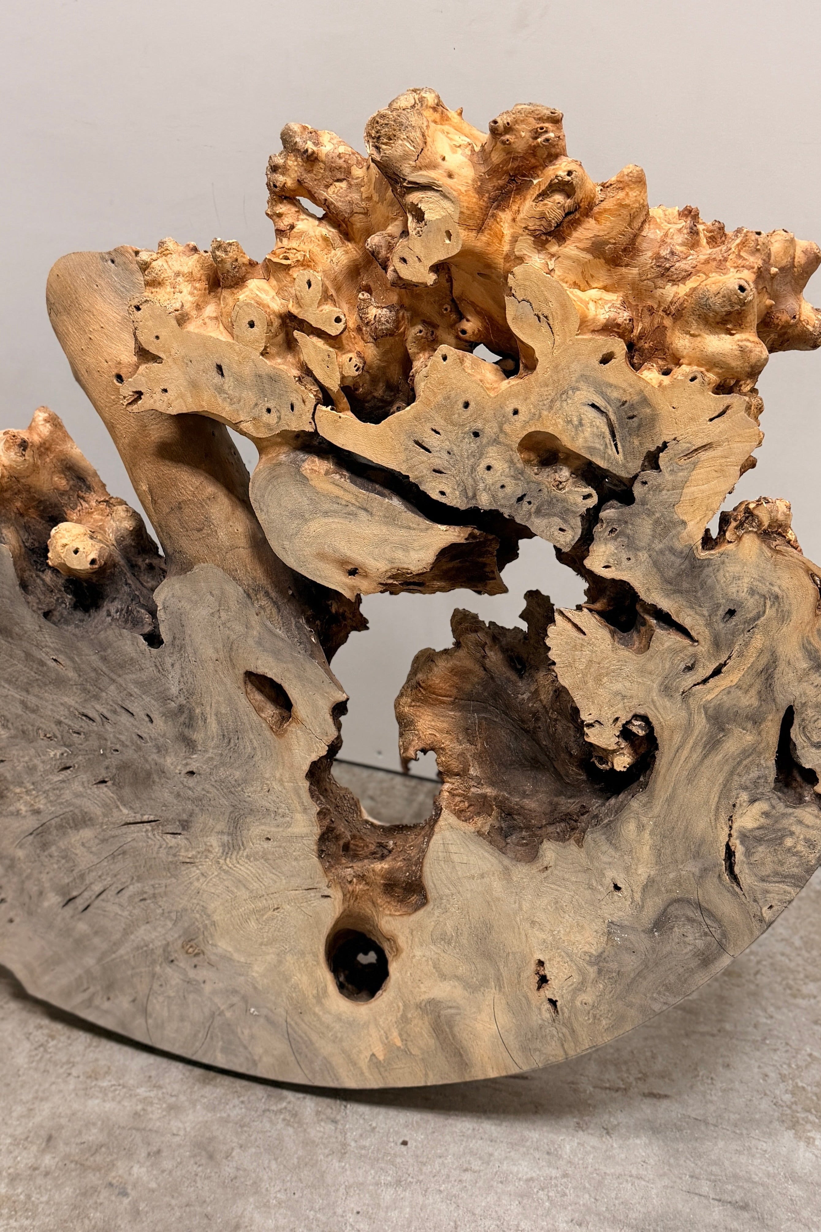 Buckeye Burl