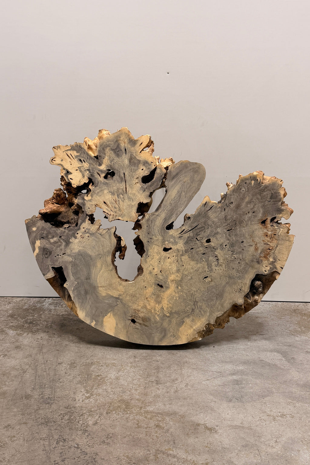 Buckeye Burl