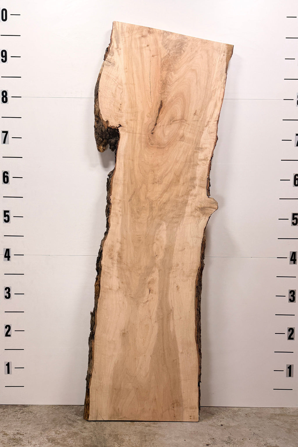 Maple Live Edge