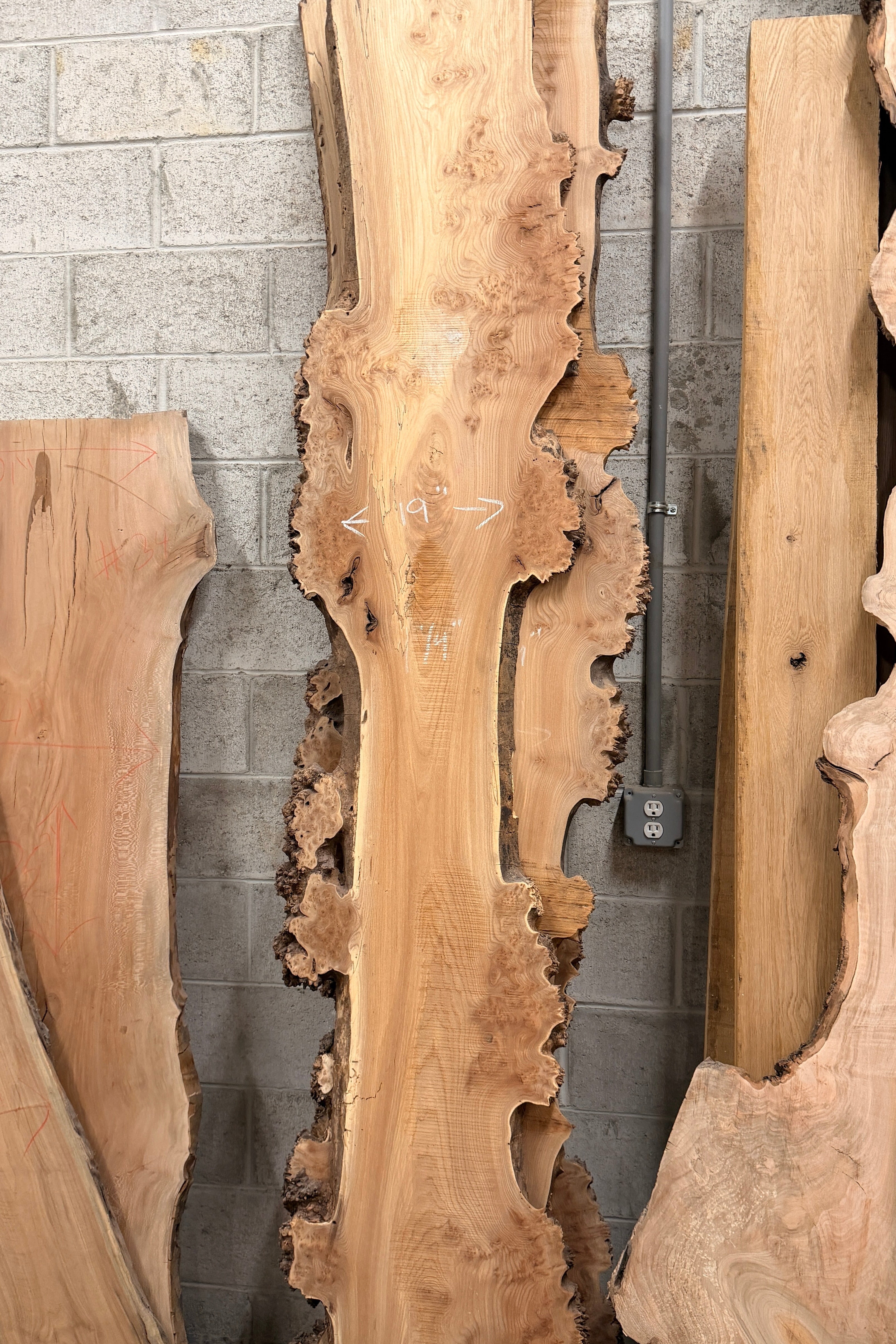 Elm Burl Live Edge
