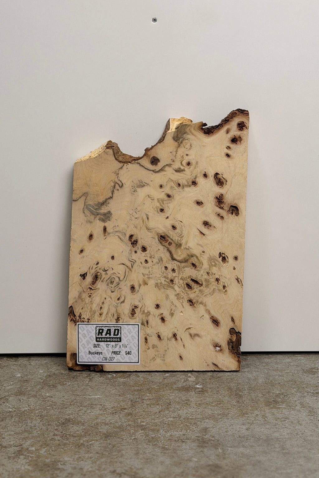 Buckeye Burl Craft Wood