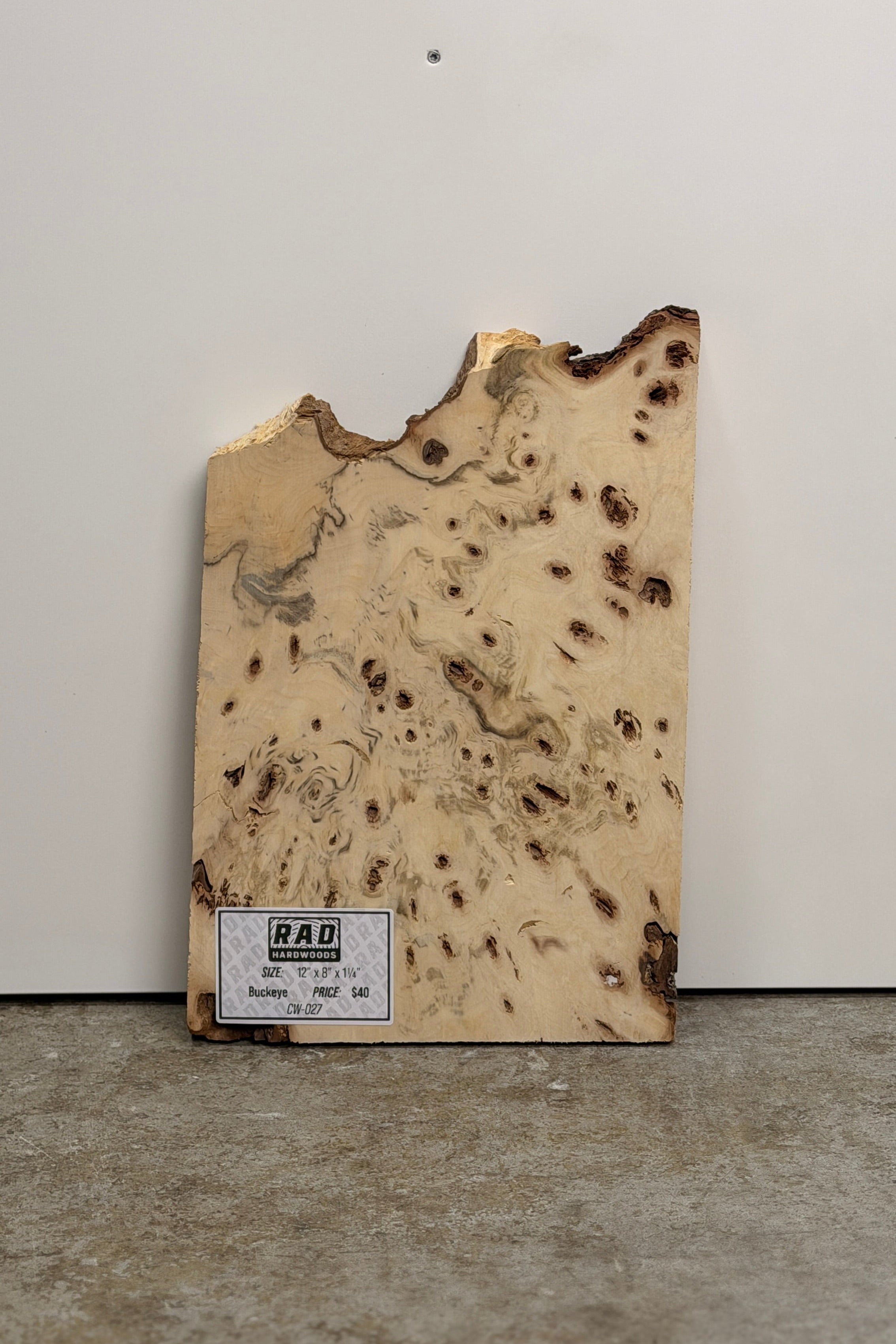 Buckeye Burl Craft Wood