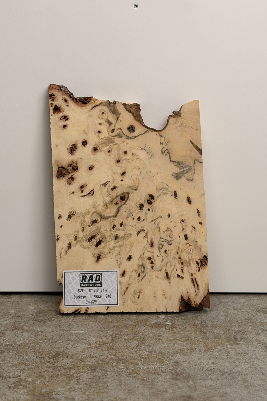 Buckeye Burl Craft Wood