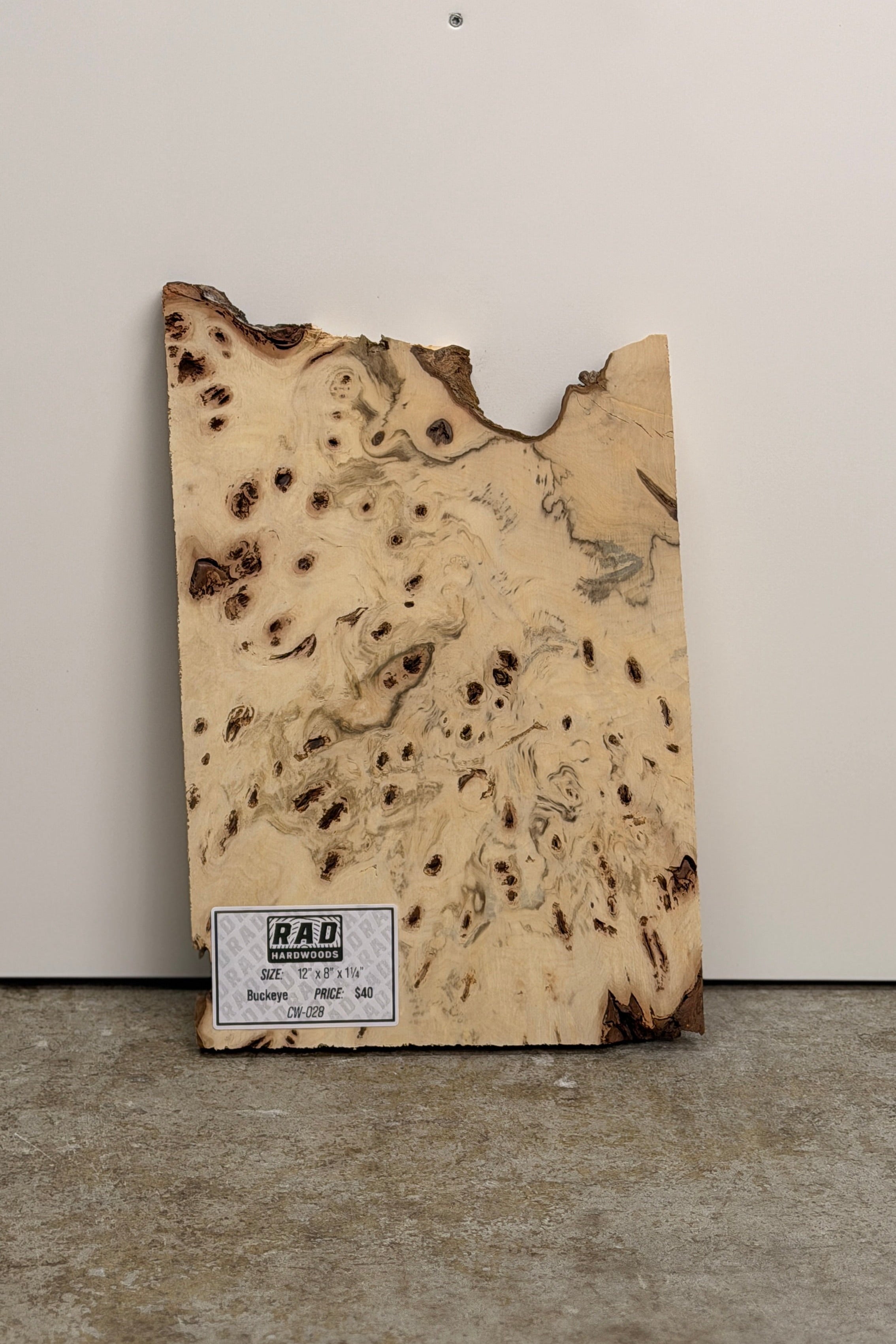Buckeye Burl Craft Wood