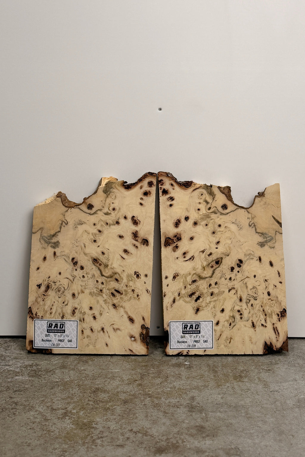 Buckeye Burl Craft Wood