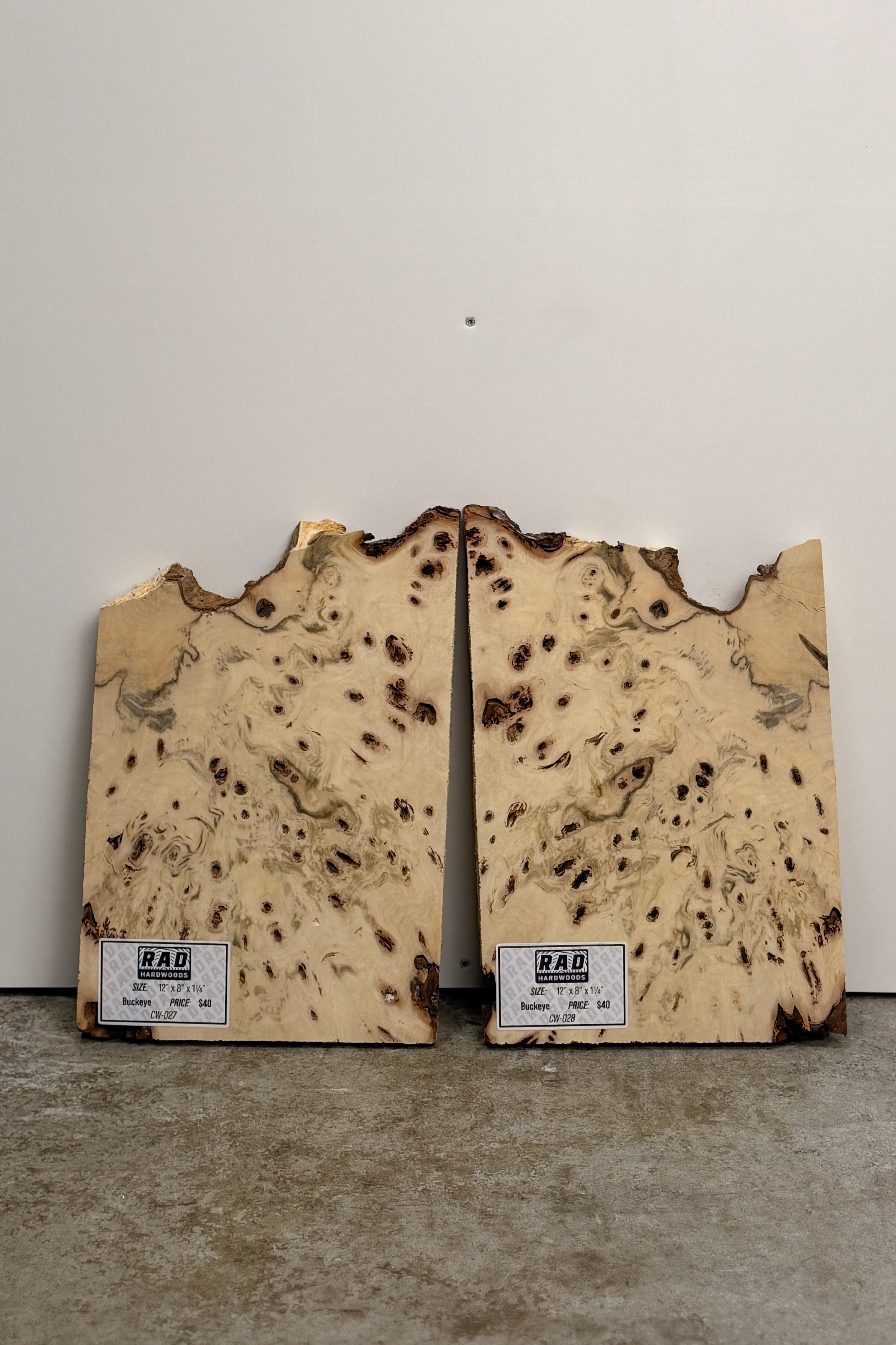 Buckeye Burl Craft Wood