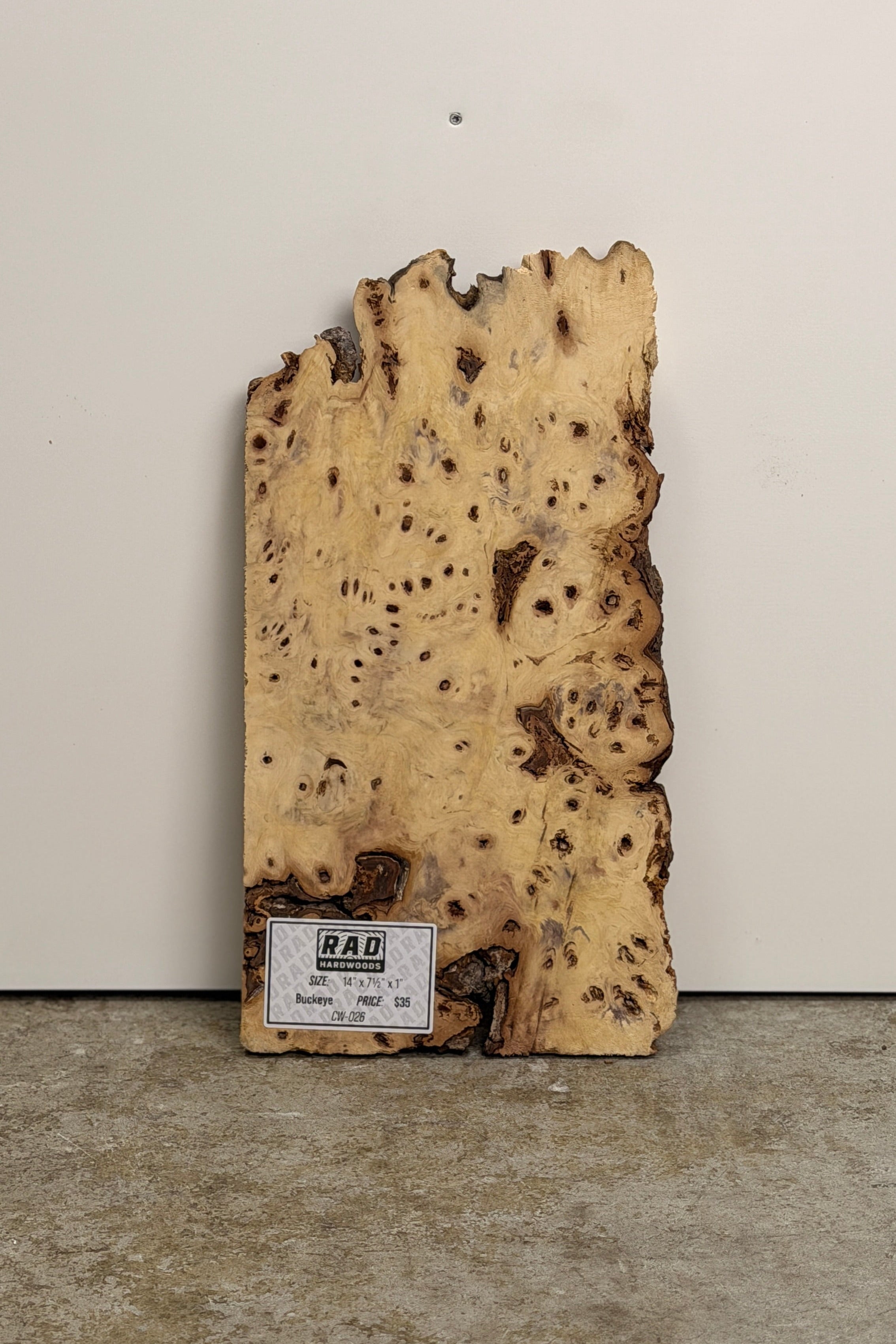 Buckeye Burl Craft Wood