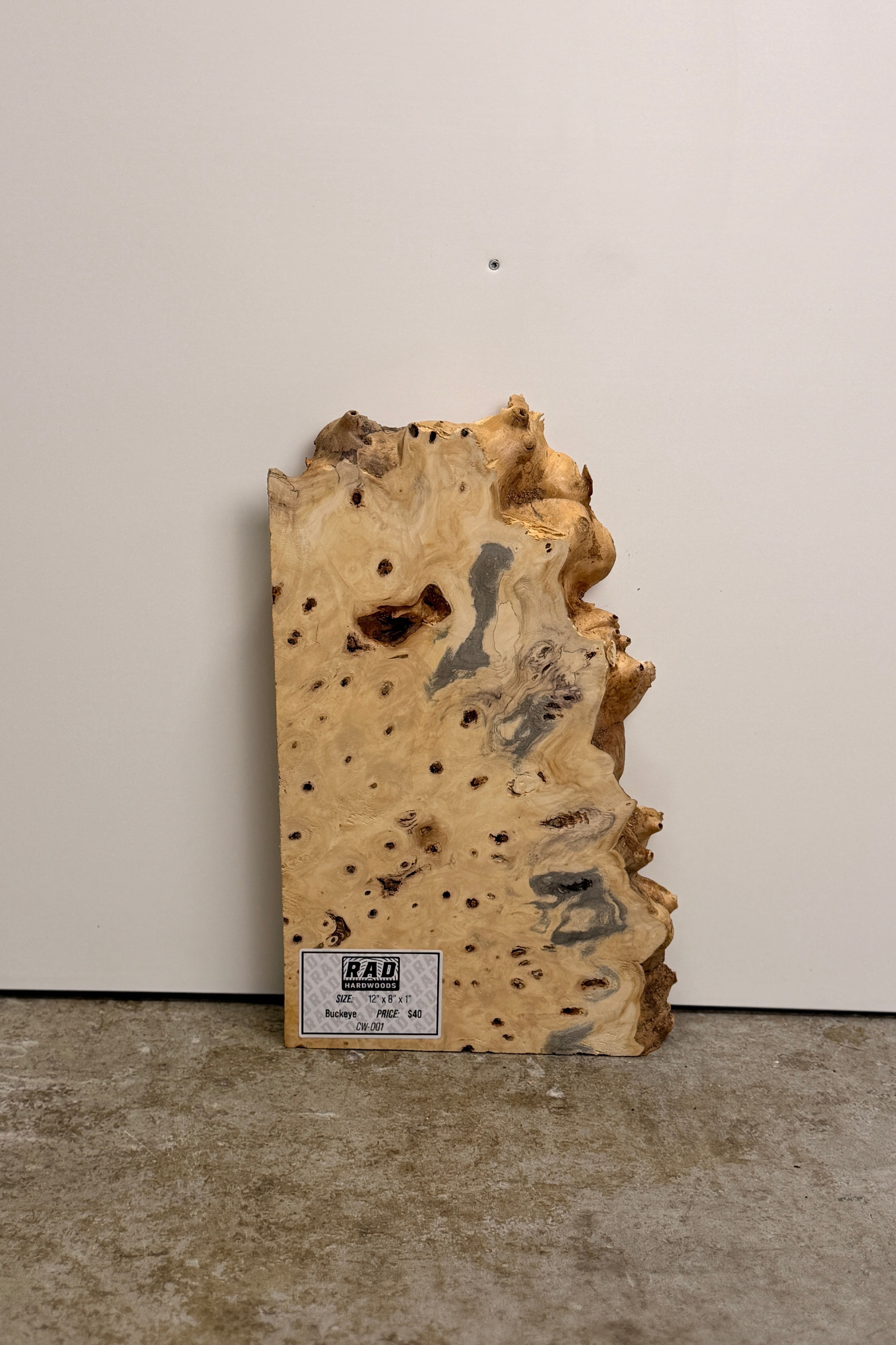 Buckeye Burl Craft Wood