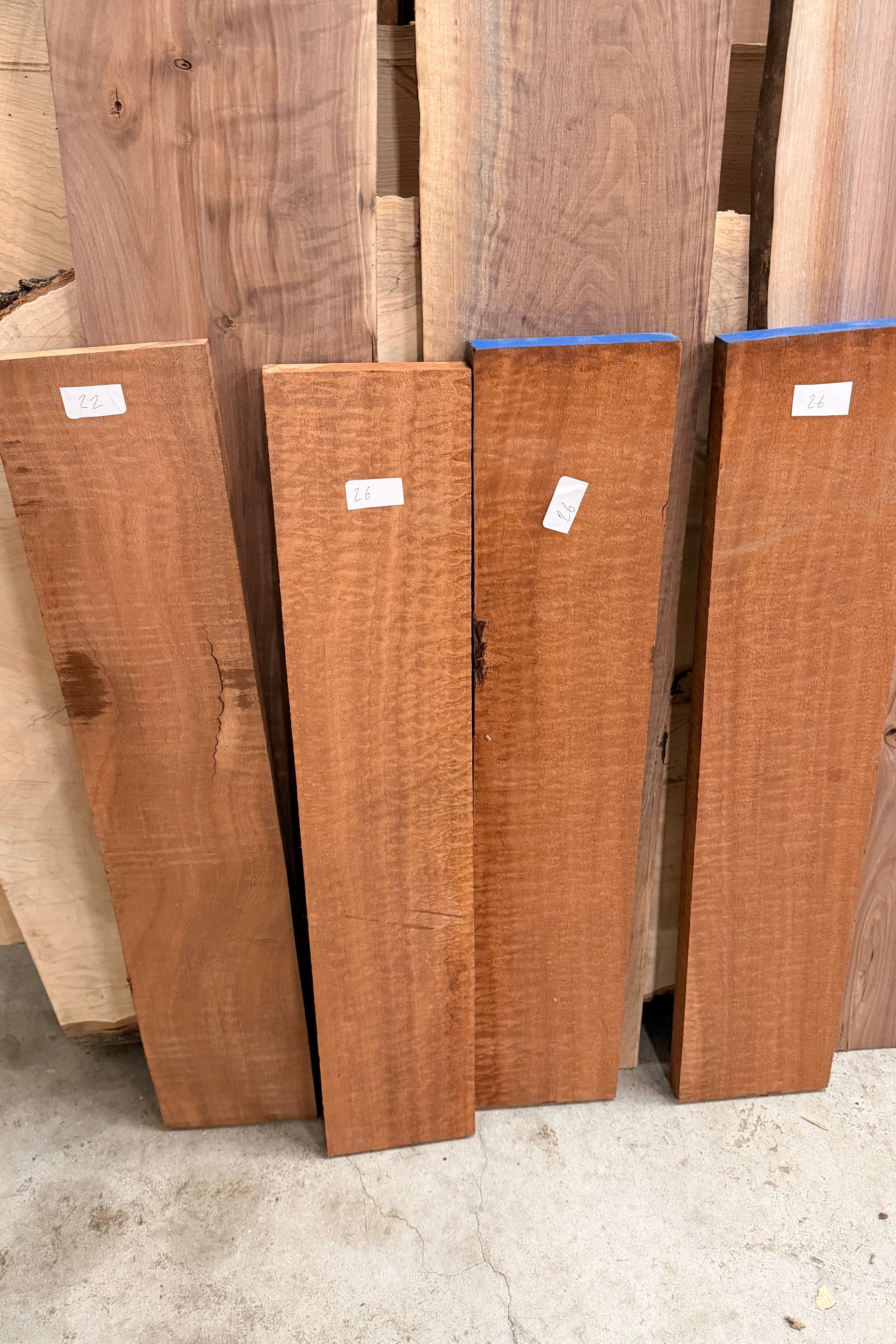 Sapele