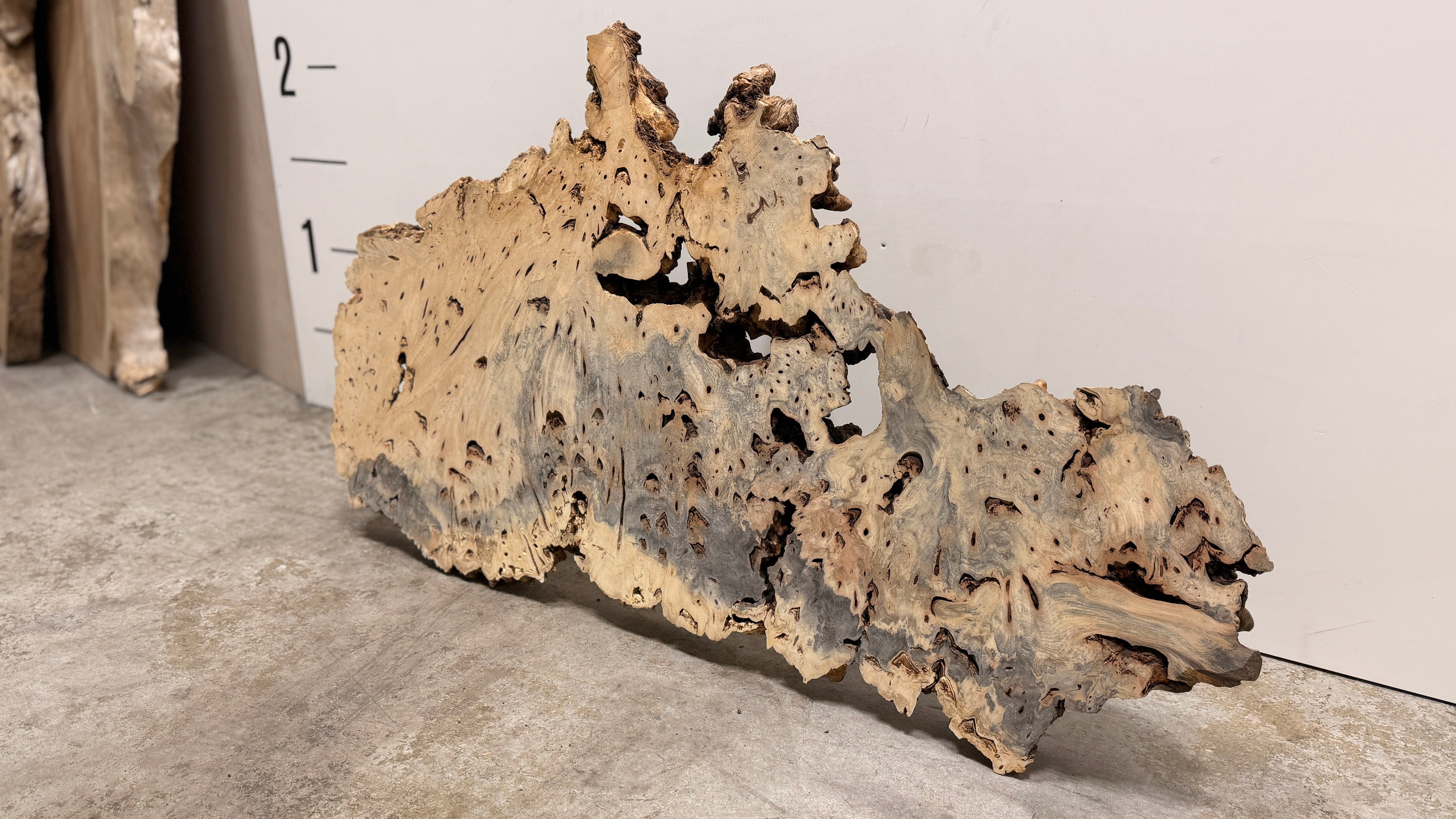 Buckeye Burl