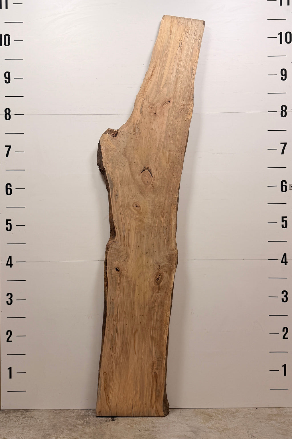 Maple Live Edge