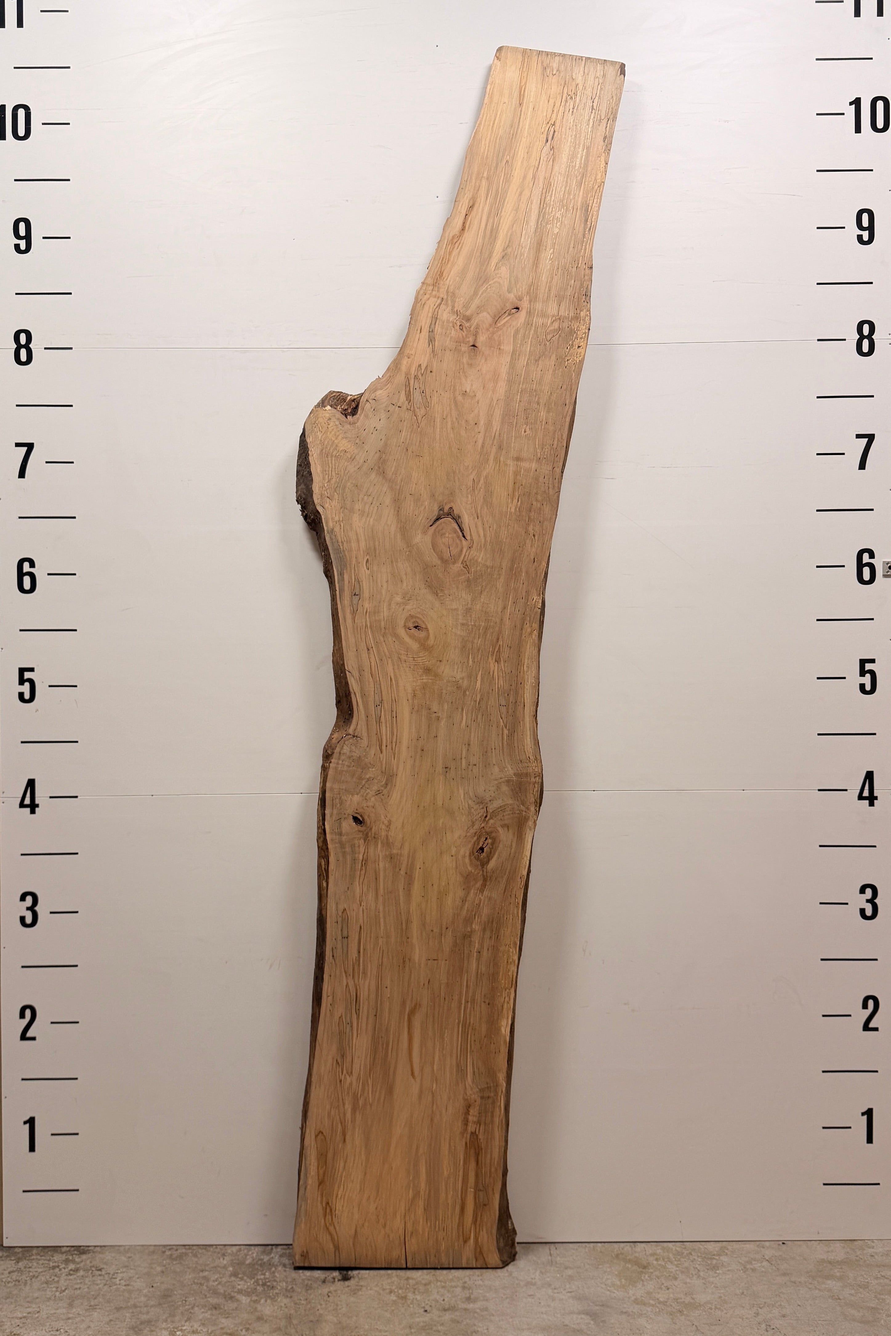 Maple Live Edge