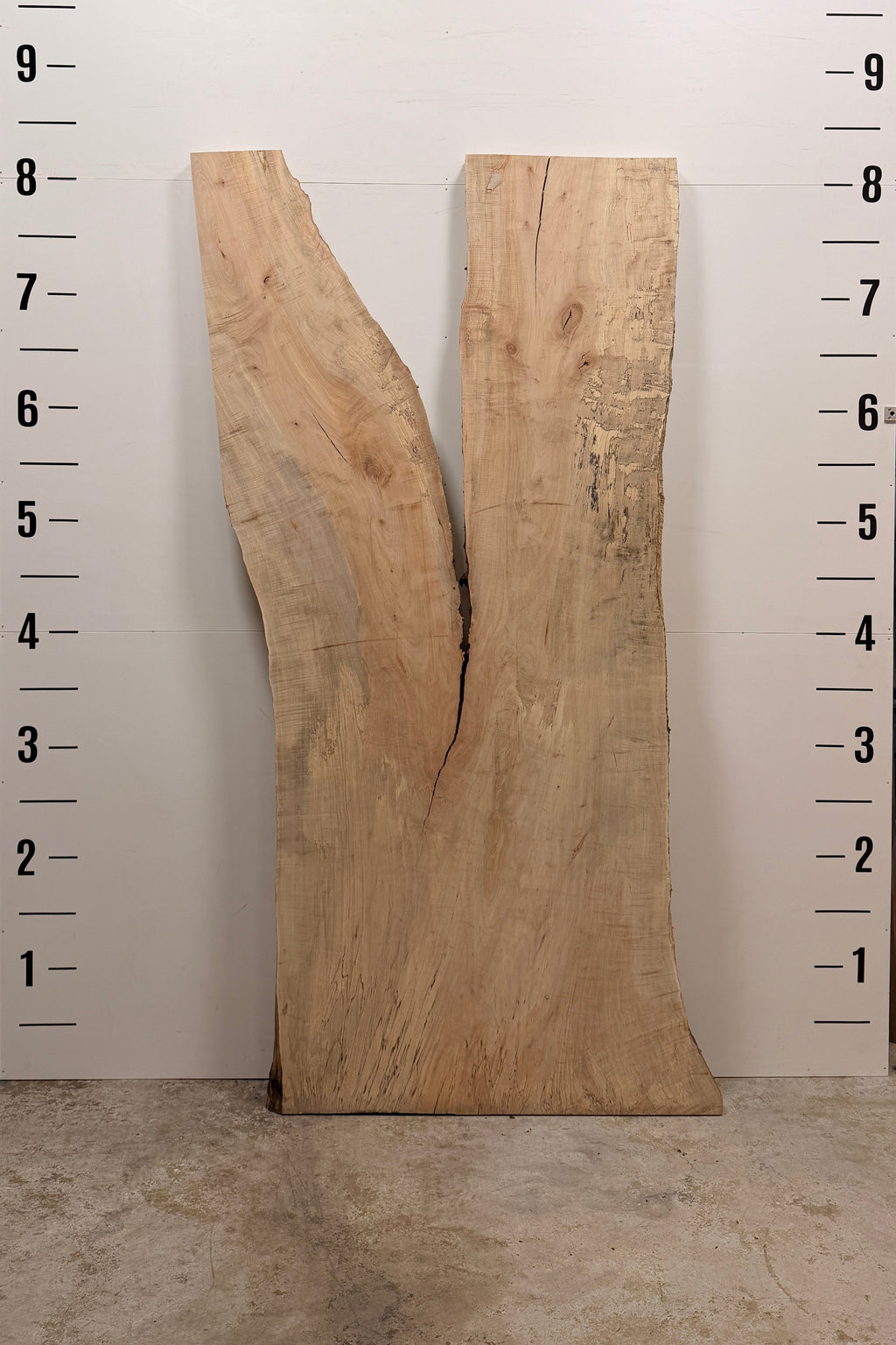 Maple Live Edge