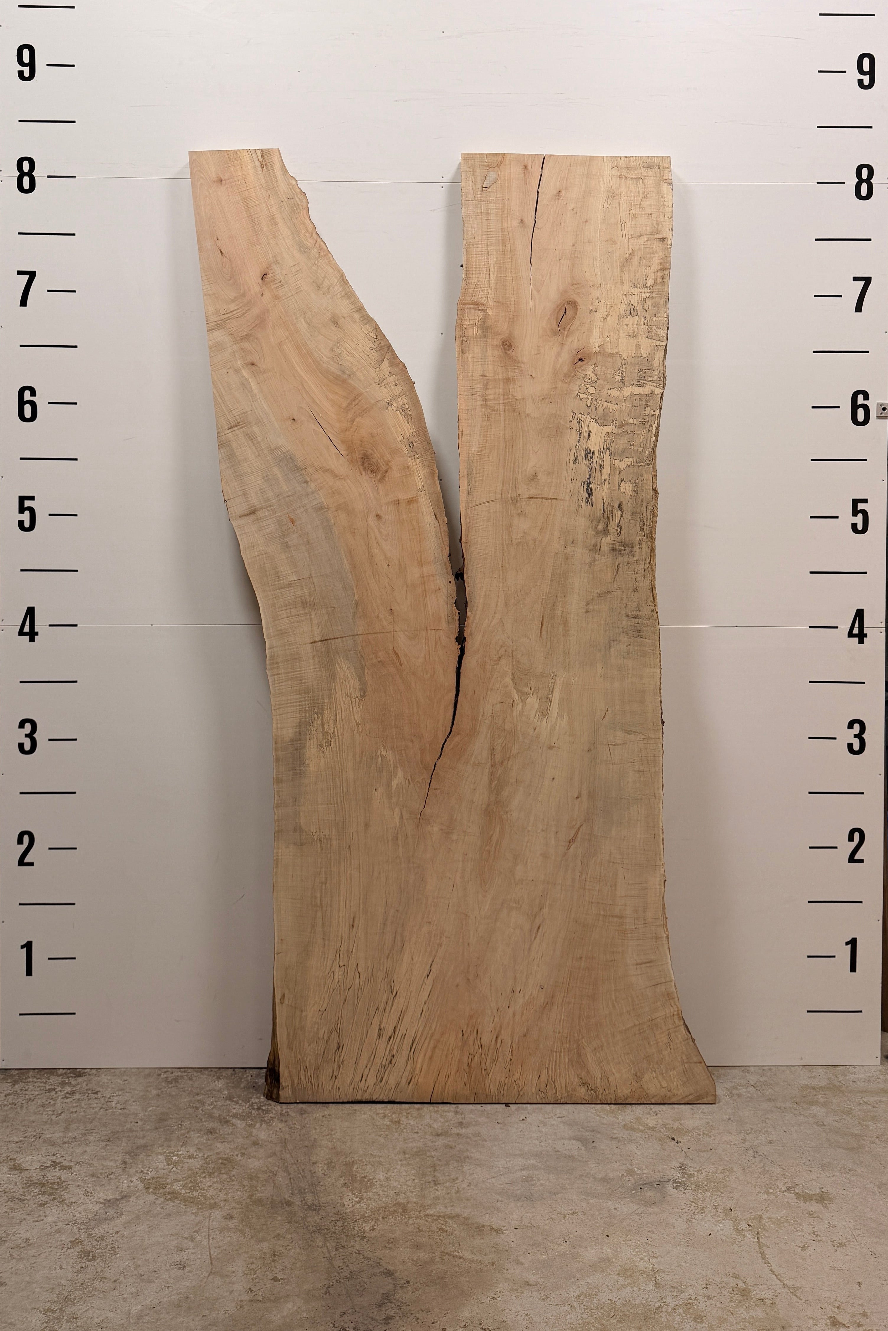 Maple Live Edge