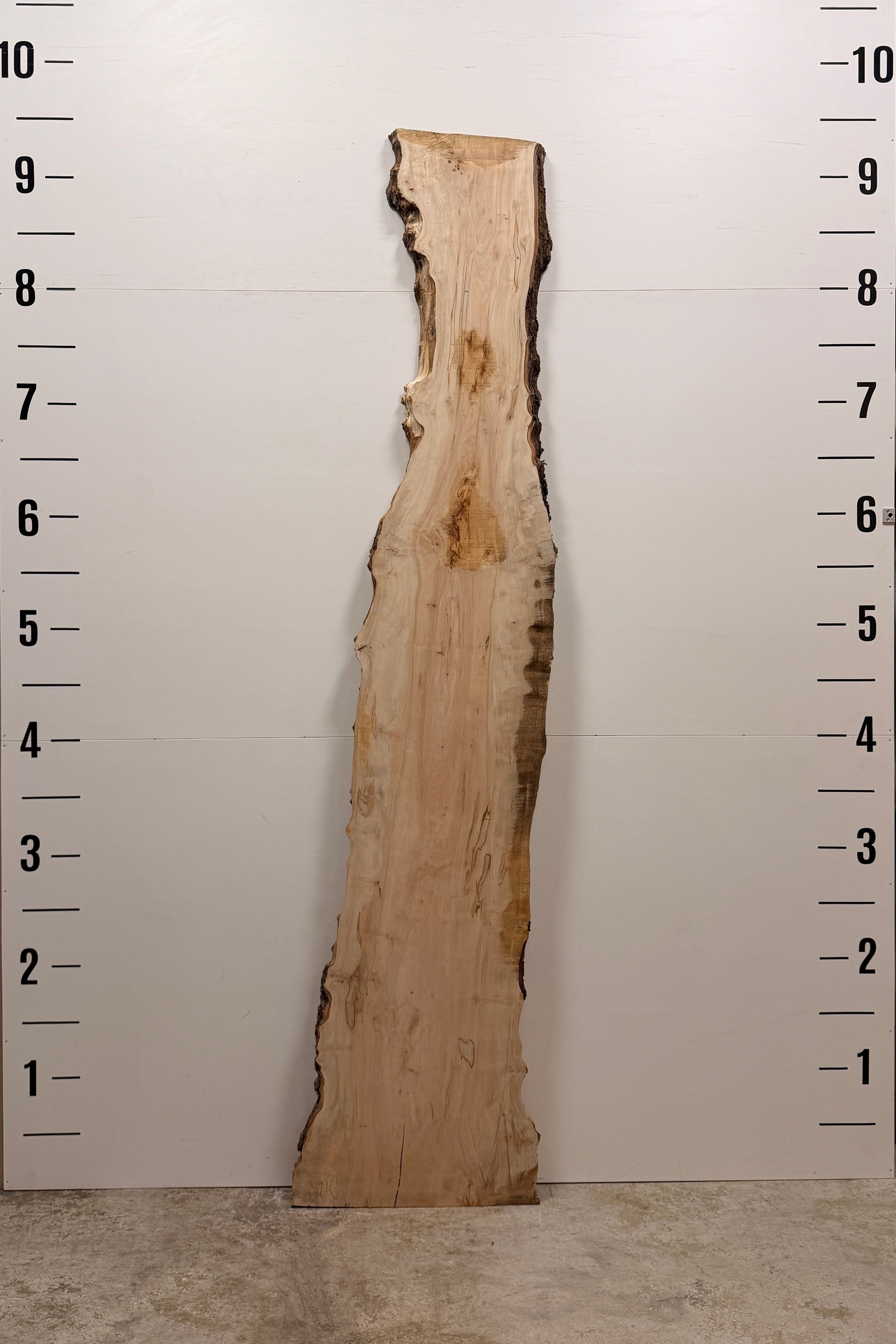 Maple Live Edge